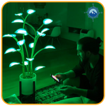 Magisk LED Indendørs Plante