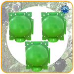 Growth | Plante Rodkugle