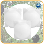 Growth | Plante Rodkugle