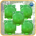 Growth | Plante Rodkugle