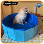 Foldbart Hundebassin